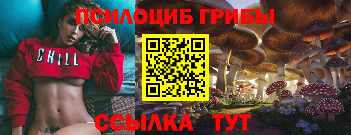 Галлюциногенные грибы MAGIC MUSHROOMS  Галлюциногенные грибы Psilocybine cubensis  Рассказово  Вход с VPN 