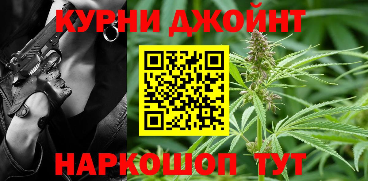 Рассказово  Конопля конопля  Вход с VPN  Шишки марихуана SATIVA & INDICA  Конопля планчик  Бошки Шишки Bruce Banner 